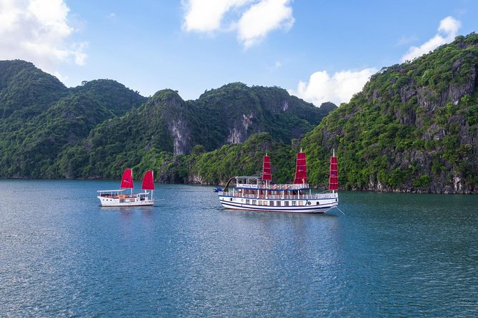 Hanoi - Halong Amzing Sails Luxury Day Tour - Tour Highlights