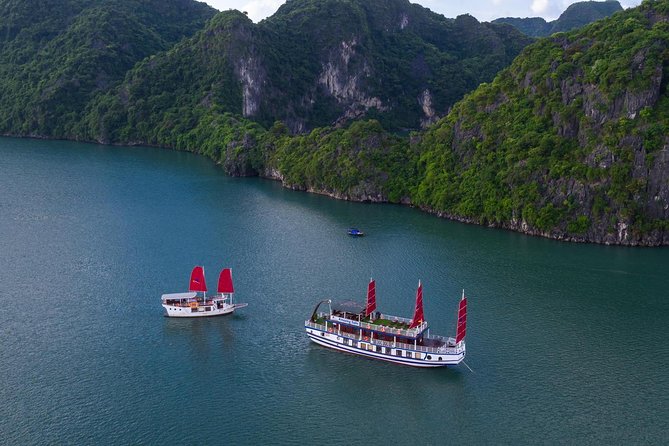 Hanoi - Halong Amzing Sails Luxury Day Tour - Itinerary and Activities