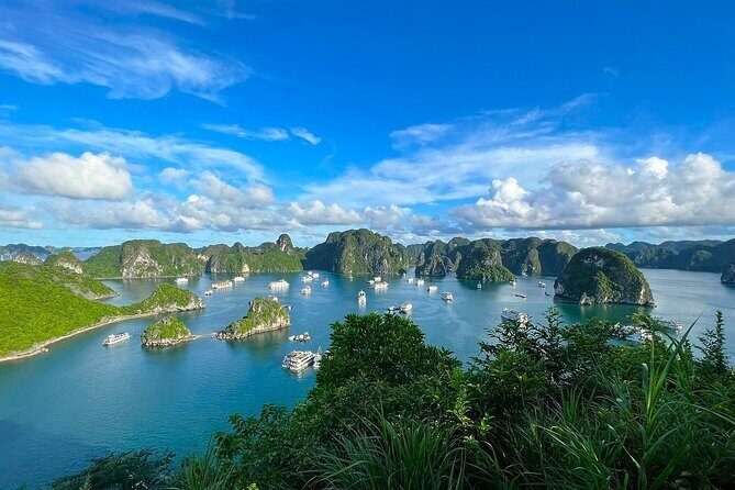 Hanoi - Halong Bay 1 Day PRIVATE TOUR: Cave, Kayak, Island, Lunch - What Makes This Tour Stand Out?