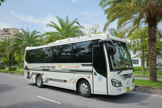 Hanoi : Halong Bay 5-Star Day Cruise Caves, Swim, Kayak & Buffet - Good To Know