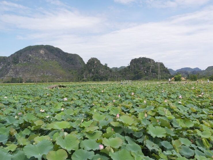 Hanoi - Hoa Lu and Tam Coc - Hanoi Full Day Tour - Tour Overview