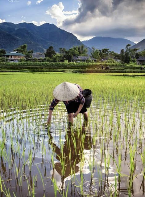 Hanoi: Hoa Lu, Tam Coc and Mua Cave Limo Bus Tour With Lunch - Booking Information