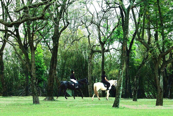 Hanoi Horseback Riding Club & Tours - Exclusive Experience - Good To Know
