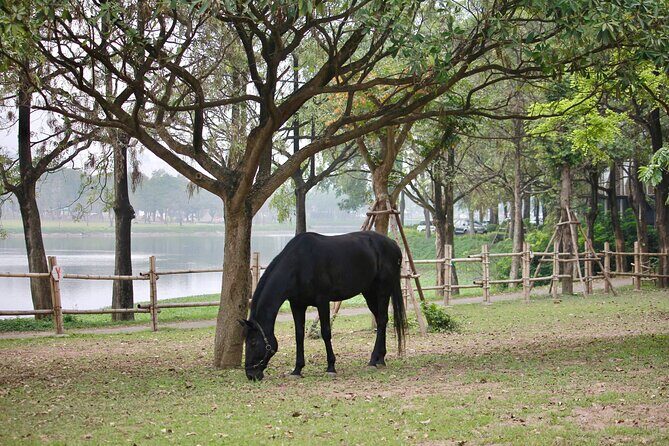 Hanoi Horseback Riding Club & Tours - Exclusive Experience - FAQ