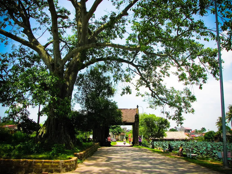 Hanoi Jeep Tour to Ba Vi National Park & Duong Lam Village - Should you book the Hanoi Jeep tour?