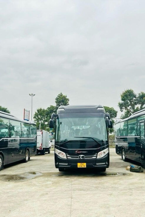 Hanoi: Limousine Bus Tickets to Cat Ba, Modern- High Quality - Itinerary Highlights