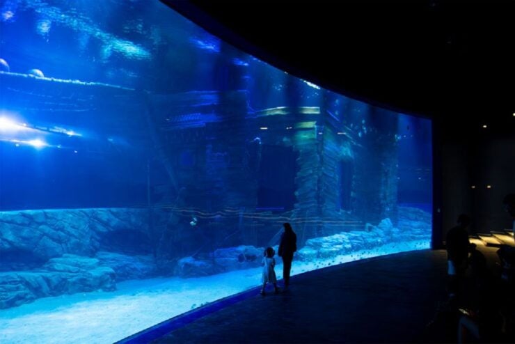Hanoi: Lotte World Aquarium E-Ticket - Good To Know