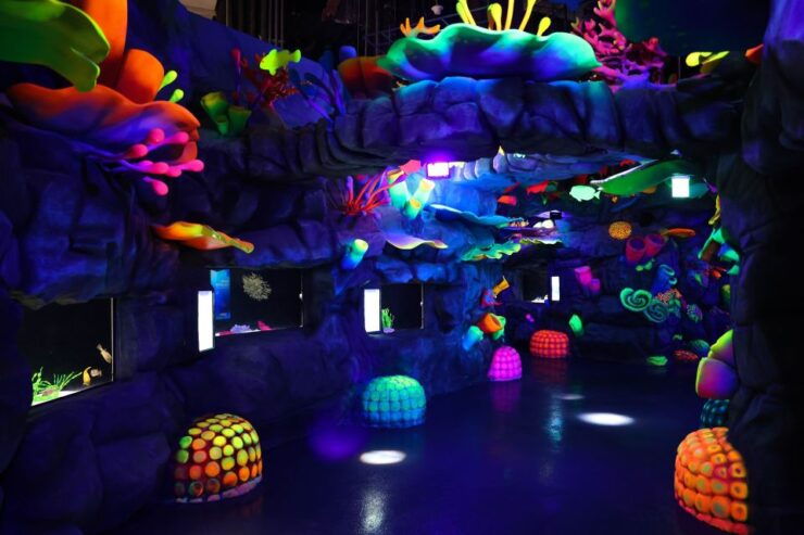 Hanoi: Lotte World Aquarium E-Ticket - Ticket Details
