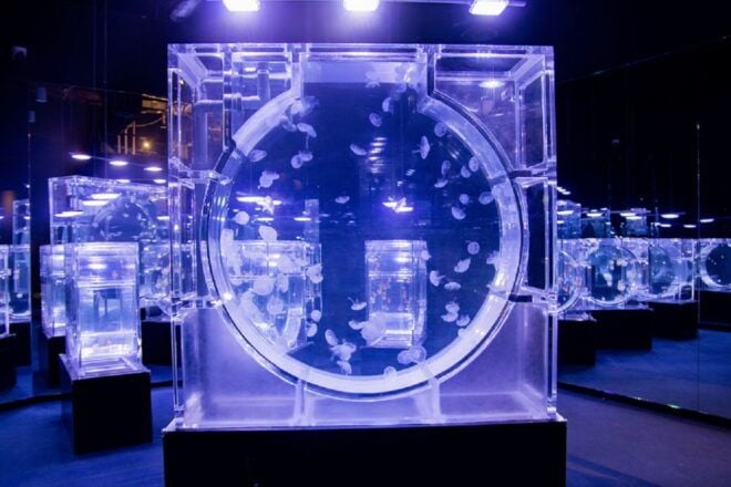 Hanoi: Lotte World Aquarium E-Ticket - Entry Requirements