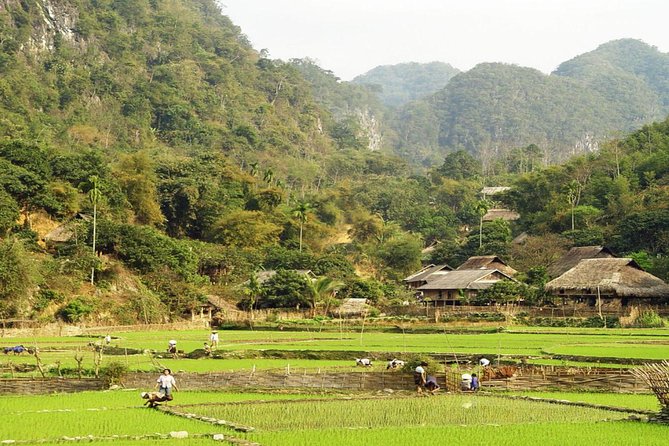 Hanoi - Mai Chau Adventure 2 Days 1 Night With a Stay at a Bungalow - Packaged Tour - Miscellaneous