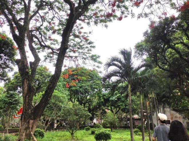 Hanoi - Ninh Binh: 1 Day With Hoa Lu, Trang an & Mua Cave - Trang An Boat Trip