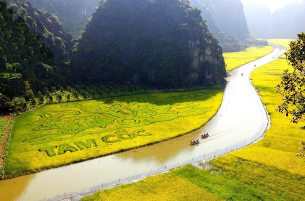 Hanoi-Ninh Binh Full Day Tour: Hoa Lu, Trang An, Mua Cave - Customer Reviews and Experiences
