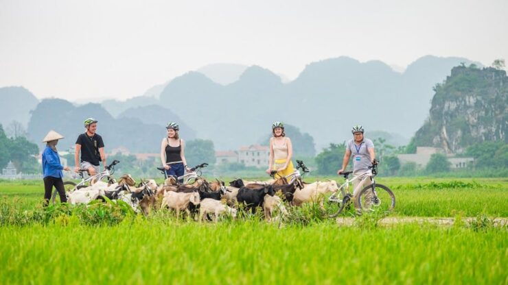 Hanoi: Ninh Binh - Halong on Land: Hoa Lu, Tam Coc, Mua Cave - Detailed Itinerary