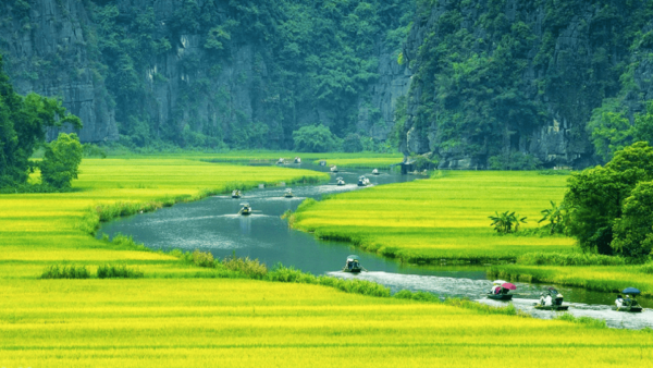 Hanoi: Ninh Binh - Halong on Land: Hoa Lu, Tam Coc, Mua Cave - Accessibility Features
