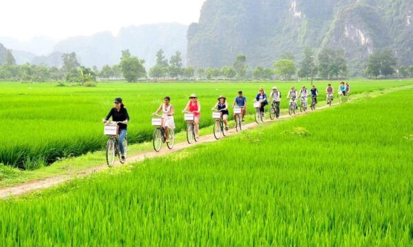 Hanoi: Ninh Binh - Halong on Land: Hoa Lu, Tam Coc, Mua Cave - Frequently Asked Questions
