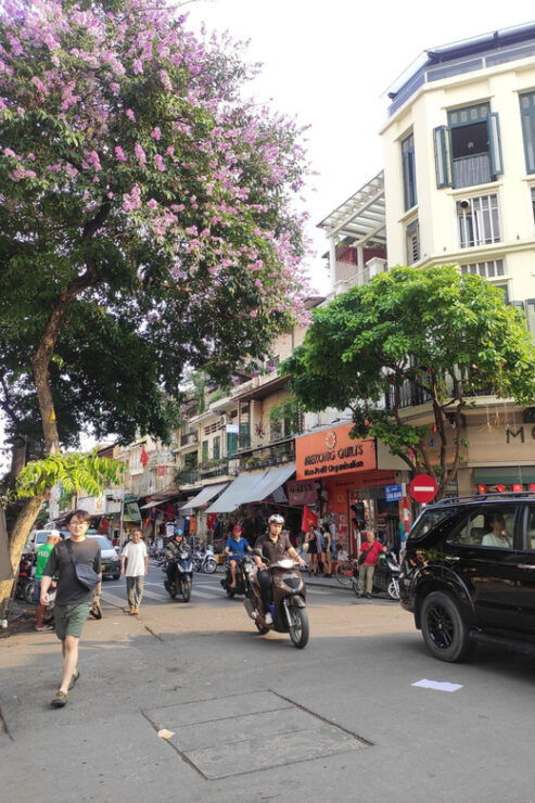 Hanoi: Private Food Tour With Local Guide - Good To Know