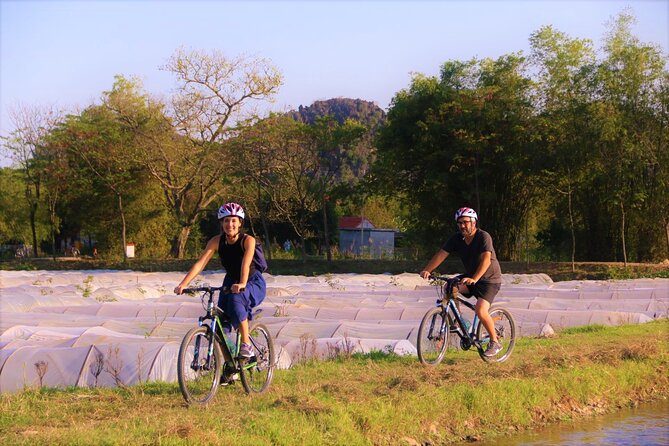 Hanoi: Private Full-Day Eco Tour to Hoa Lu Hang Mua Hiking and Tam Coc Biking - The Sum Up