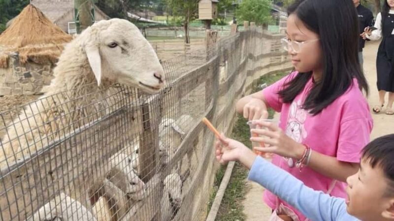 Hanoi: Rainbow Slide & Horse Riding  Small Group Half-day - FAQ