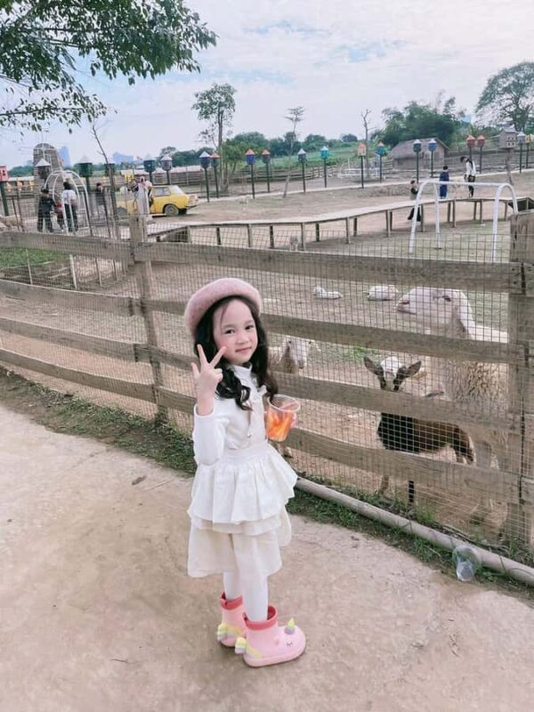 Hanoi: Rainbow Slide & Horse Riding  Small Group Half-day - Introduction