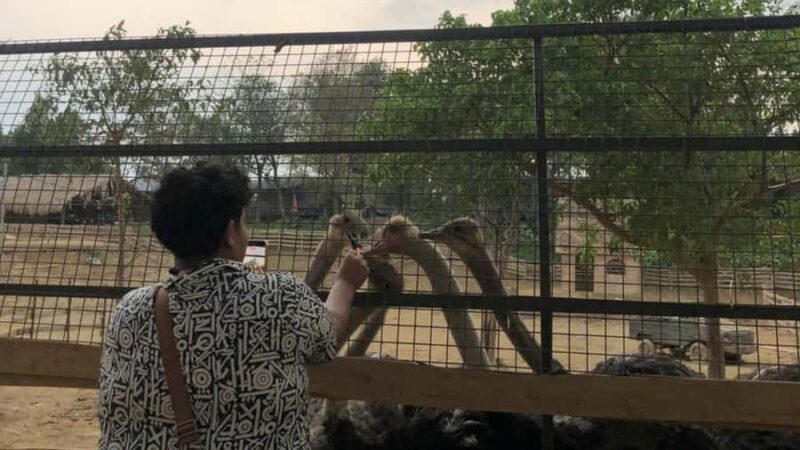 Hanoi: Rainbow Slide & Horse Riding  Small Group Half-day - FAQ