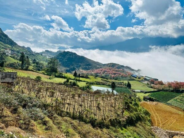 Hanoi: Sapa 2-Days With Cat Cat, Ham Rong, Fansipan Peak - What to Bring
