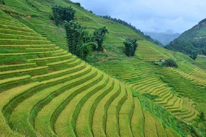 Hanoi - Sapa Tour 3D2N Full Package With Local Guide - Inclusive Features
