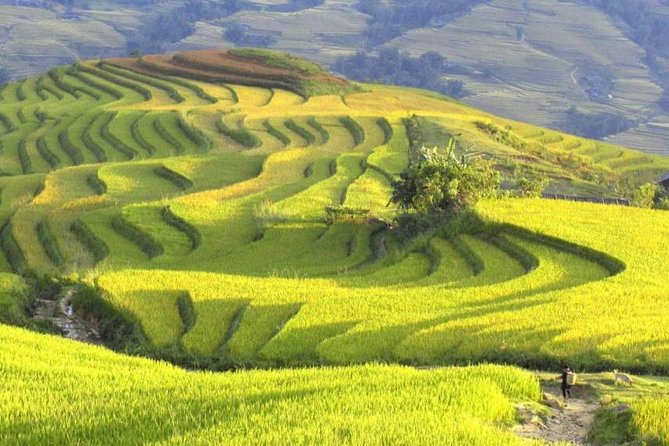 Hanoi-Sapa Trek 2 Days 2 Nights in Hotel With Small Group - Overview of the Tour