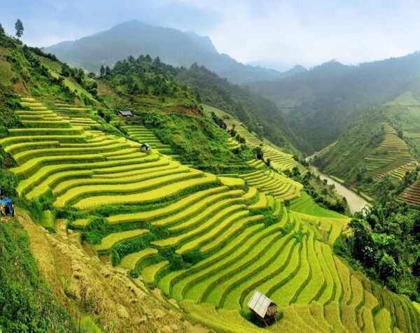 Hanoi: Sapa Trekking 2 Days 1 Night Overnight in Village - Additional Activities in Sapa