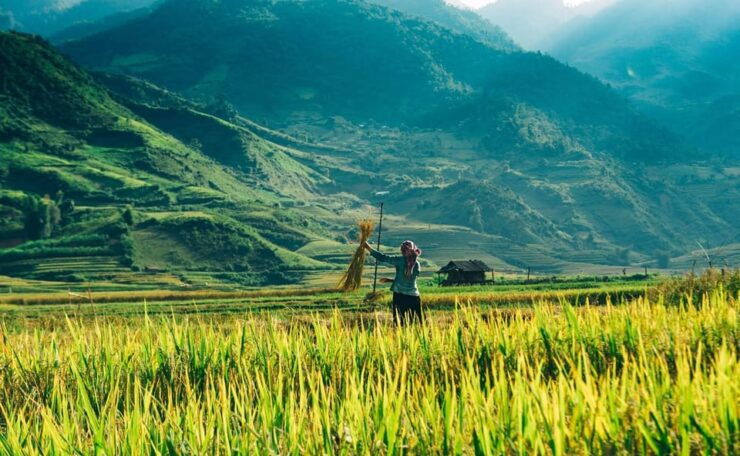 Hanoi: Sapa Trekking 2 Days 1 Night - VIP Bus From Hanoi - Good To Know