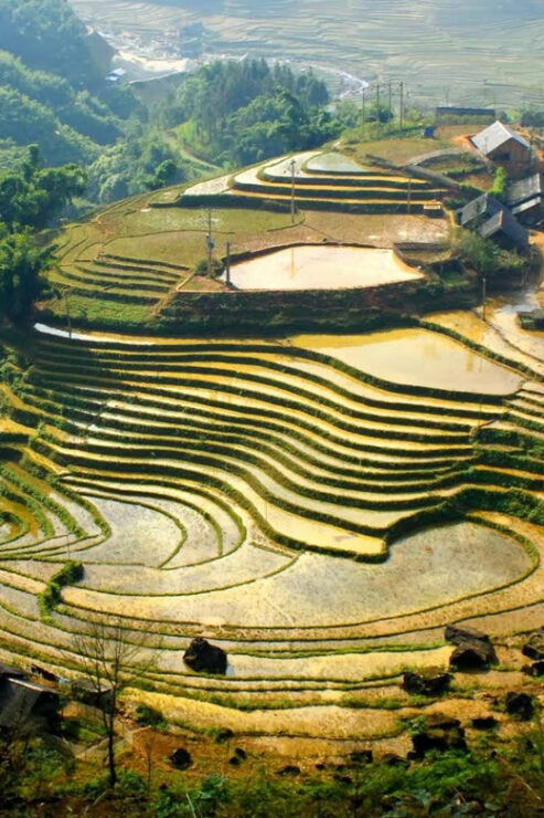 Hanoi: Sapa Trekking 2 Days 1 Night - VIP Bus From Hanoi - Detailed Itinerary
