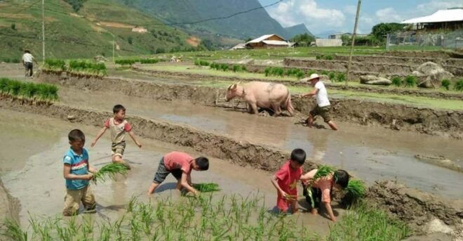 Hanoi: Sapa Trekking 2 Days 1 Night - VIP Bus From Hanoi - Cultural Experiences