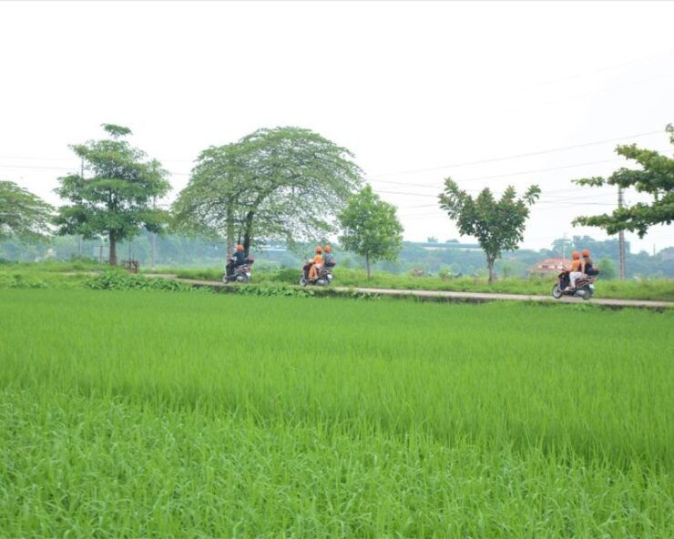Hanoi Scooter Tour of Countryside, Rice Fields & Local Home - Tour Highlights and Experiences