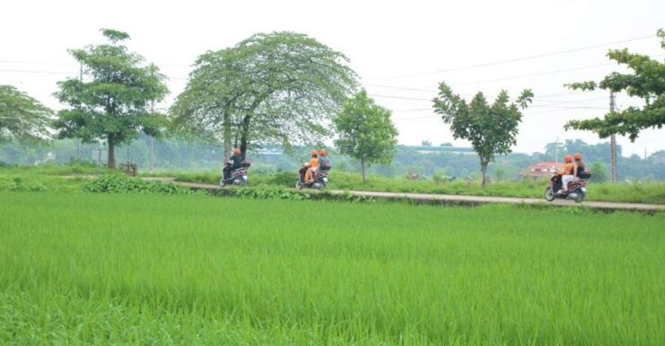 Hanoi Scooter Tour of Countryside, Rice Fields & Local Home - Tour Itinerary and Sightseeing