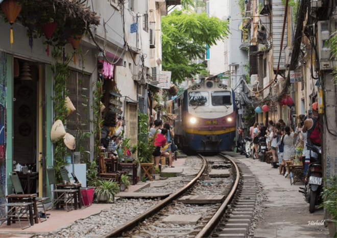 Hanoi: Street Food Tour With Train Street Experience - Food and Drink Options