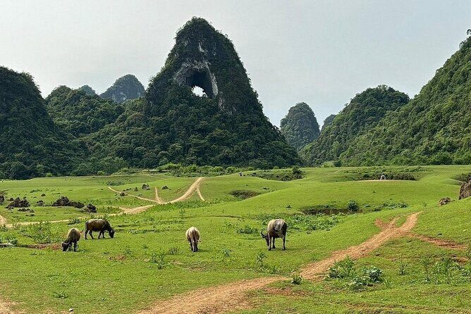 Hanoi to Ban Gioc Waterfall & Nguom Ngao Cave 2D1N Tour - Who Will Love This Tour?