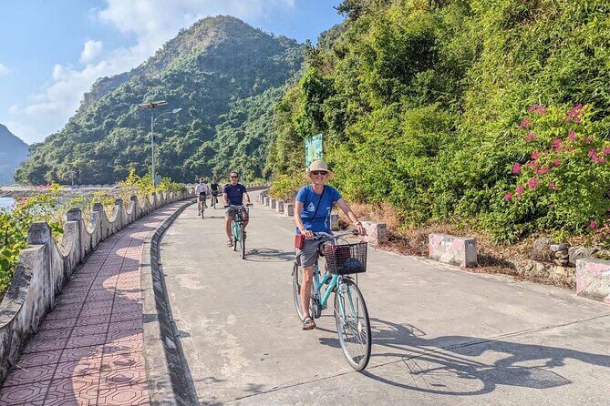 Hanoi to Cat Ba Island & Lan Ha Bay 5-Star Day Cruise with Biking - Who Is This Tour Best For?