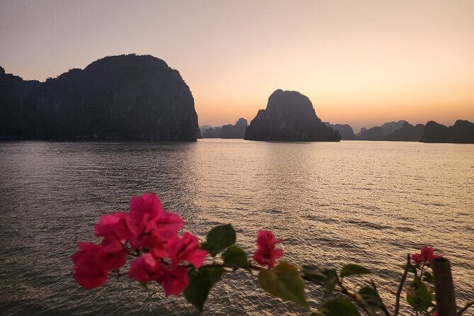 Hanoi to Ha Long Bay Best Cruise with Buffet Lunch and Limousine - Practical Details & Considerations
