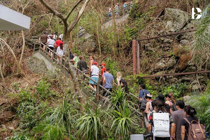 Hanoi to Halong Bay 6 Star Day Cruise Swim Buffet and Live Music - Who Is This Tour Best For?