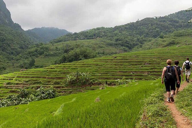Hanoi to Mai Chau & Pu Luong: 2-Day with Pu Luong Overnight Stay - Practical Details and Why They Matter