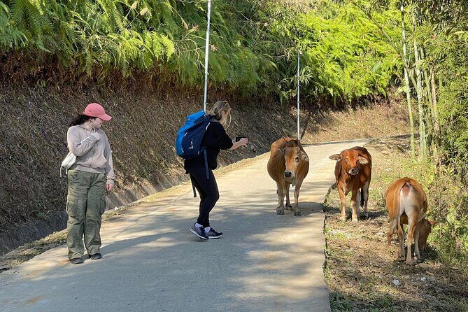 Hanoi to Sapa: 2-Day Trekking Adventure with Overnight Homestay - Final Thoughts