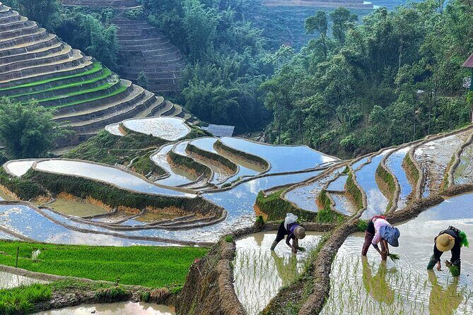 Hanoi to Sapa: 2-Day Trekking Adventure with Overnight Homestay - The Journey Begins: From Hanoi to Sapa