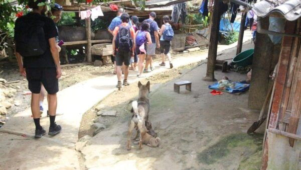 Hanoi to Sapa: 2-Day Trekking Tour With Red Dzao Herbal Bath - Cultural Experiences