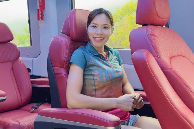 Hanoi To Sapa By Luxury Limousine Bus Transfer - What the Reviews Say: Authentic Insights