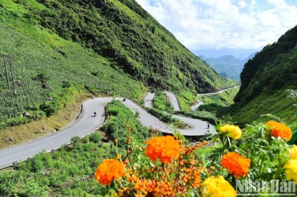 Hanoi: Transfer to or From Ha Giang in a VIP Sleeping Bus - Inclusions and Exclusions