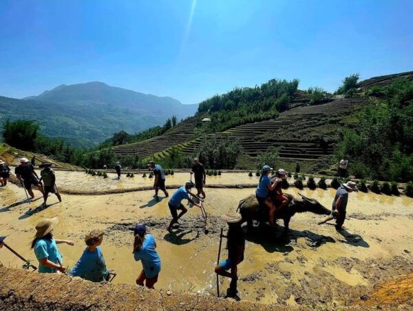 Hanoi: Transfer to or From Sapa by a VIP Sleeper Bus - Contact Information and Support