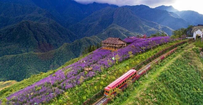 Hanoi: Trekking Sapa 3 Days Lao Chai- Ta Van- Giang Ta Chai - Experience Highlights