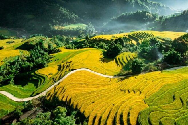 Hanoi: Trekking Sapa 3 Days Lao Chai- Ta Van- Giang Ta Chai - Included Services