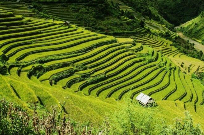 Hanoi: Trekking Sapa 3 Days Lao Chai- Ta Van- Giang Ta Chai - What to Pack