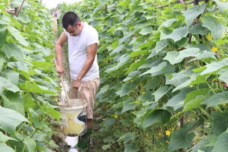 Hanoi: Village Farm Tour and Cooking Class With Lunch - Booking Information