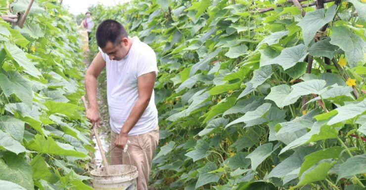 Hanoi: Village Farm Tour and Cooking Class With Lunch - Experience Highlights